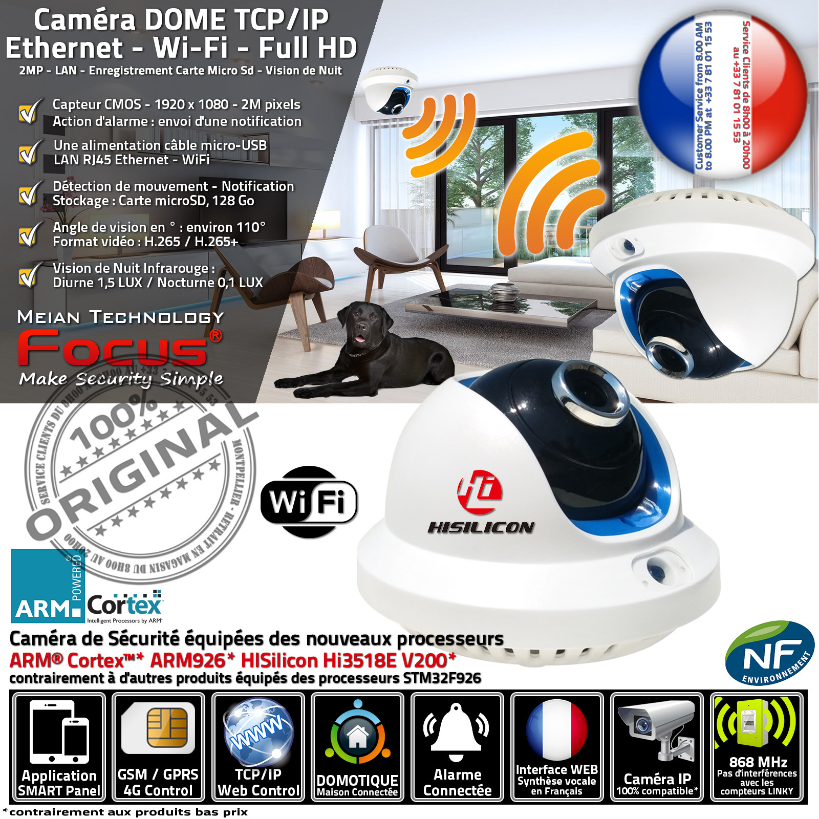 Caméra Panoramique Réseau IP Vidéo à Distance via Internet Application Smartphone Wi-Fi Vision Nocturne Enregistrement Carte SD